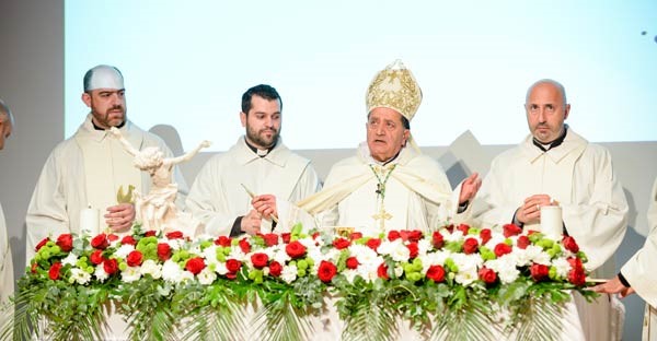 img (23)